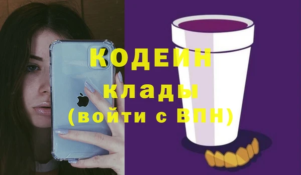 ешки Инта