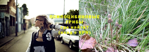 меф Нефтегорск