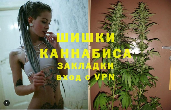 прущие крисы Березники