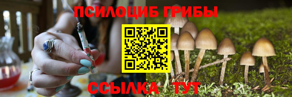 Алапаевск  Галлюциногенные грибы GOLDEN TEACHER  Вход с VPN  Псилоцибиновые грибы Psilocybe 